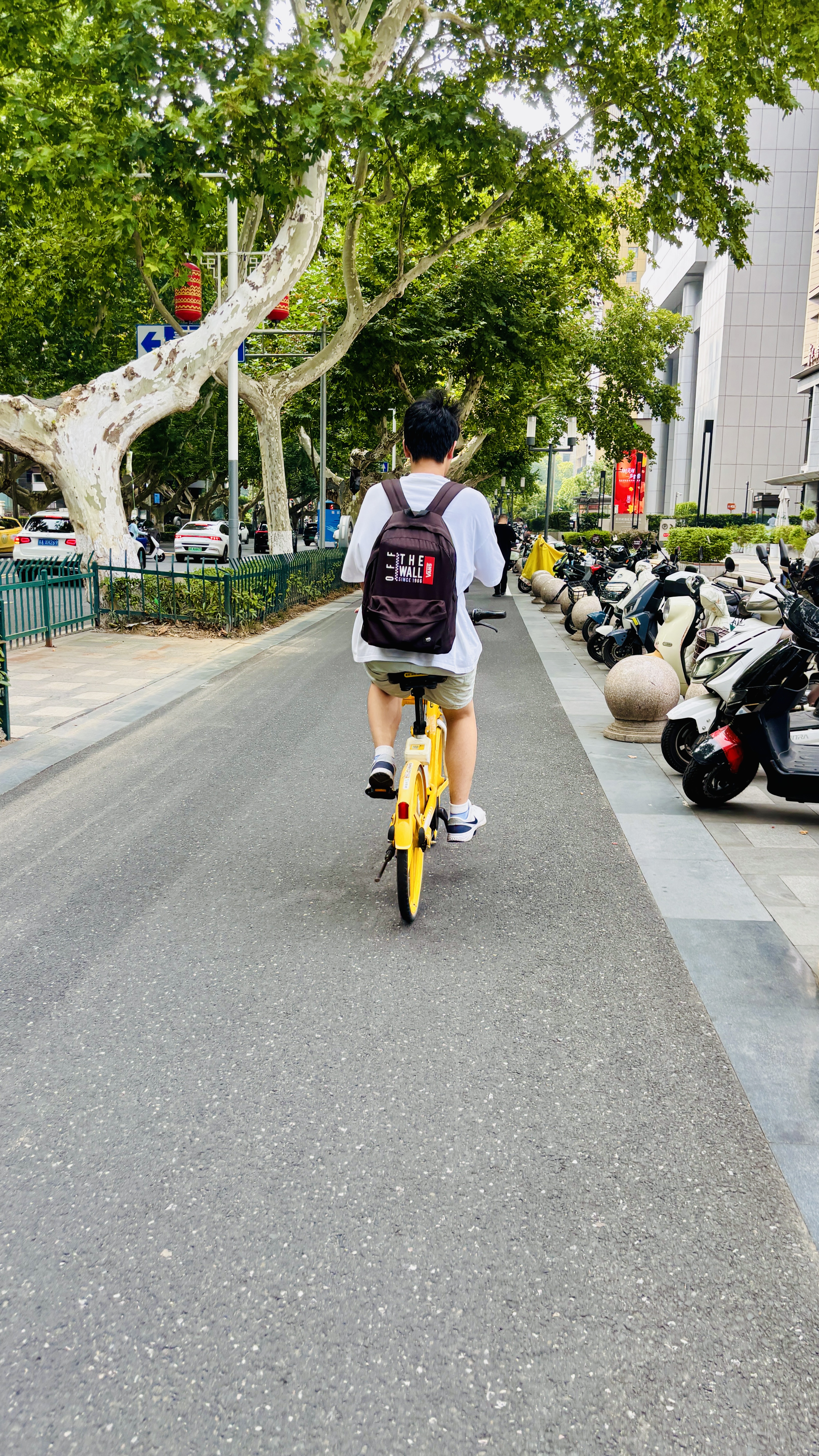 跟着王同学很安心😘
