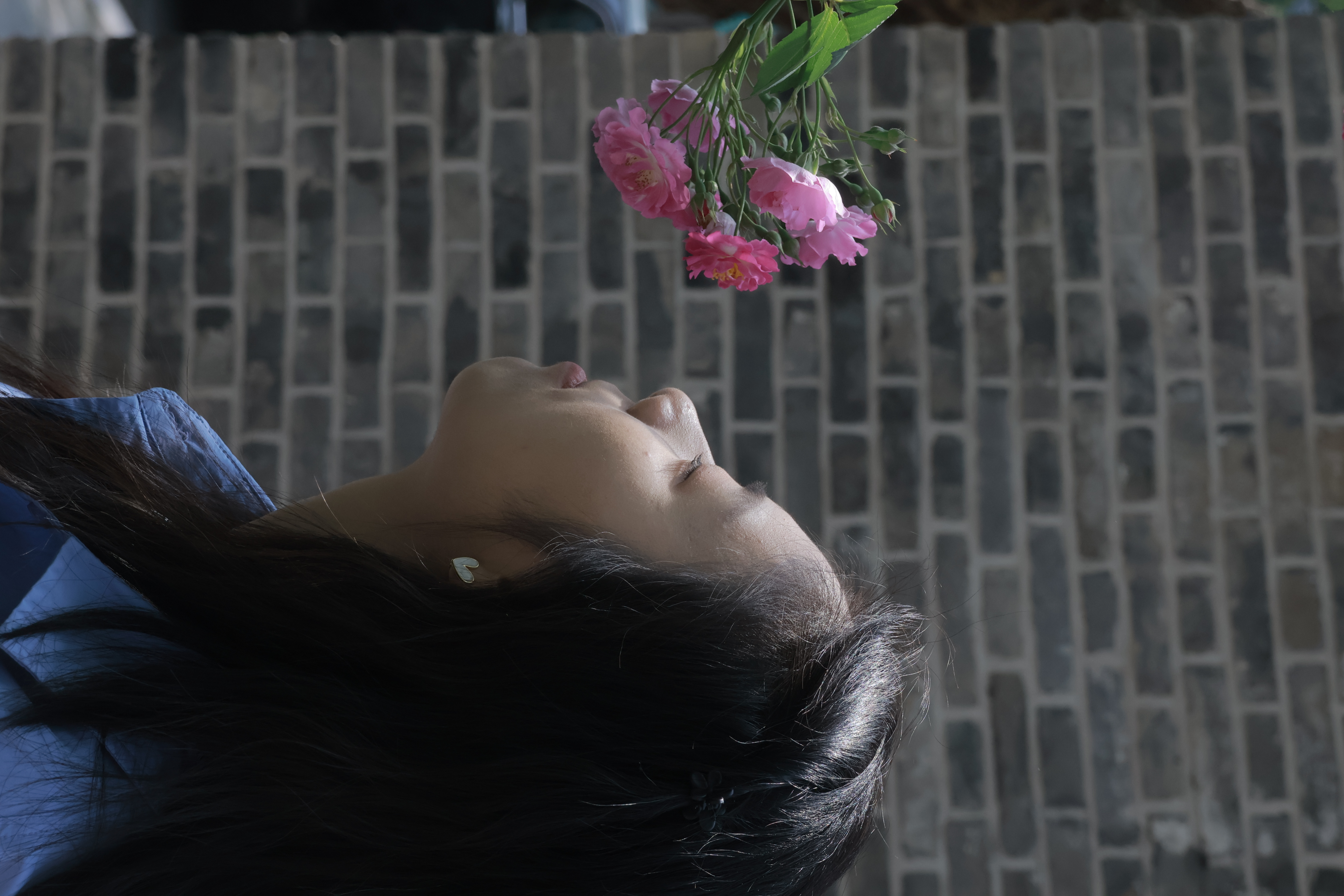 一枝红杏出墙来